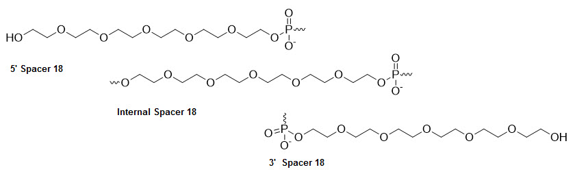 Bio-Synthesis Inc. Oligo Structure